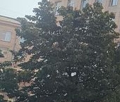 Продать Квартиры вторичка Ивановская улица, 7   