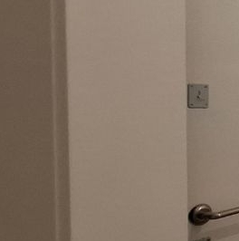 Аренда 1-комн квартиры на вторичном рынке пос. Ковалево, улица Александра Разгонина, 2к1 Аренда 1-комн квартиры на вторичном рынке пос. Ковалево, улица Александра Разгонина, 2к1