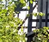 Продать Дачи, коттеджи, загородные дома д. Удосолово, 51   