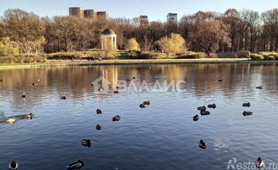 Продажа 2-комн квартиры на вторичном рынке улица Яблочкова,  д. 43Б