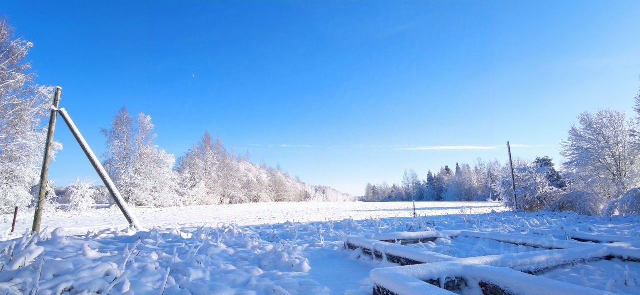 Продажа земли д. Борутино, улица Цветочная, 33
