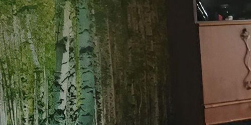 2-комн квартира Свободный проспект, 21/2