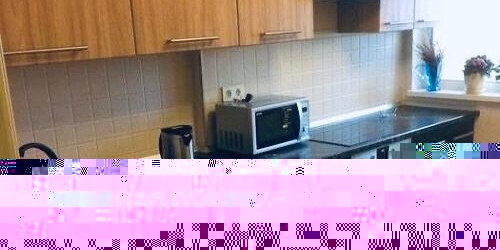 2-комн квартира Девятинский Б. пер,  д. 5