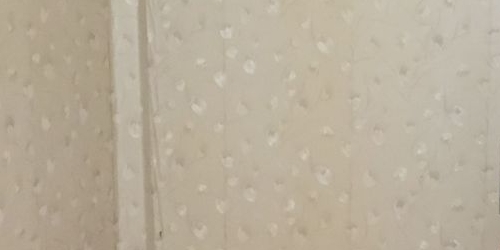 2-комн квартира улица Грибакиных, 2К2