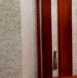 Аренда 1-комн квартиры на вторичном рынке Полярная улица, 17К2