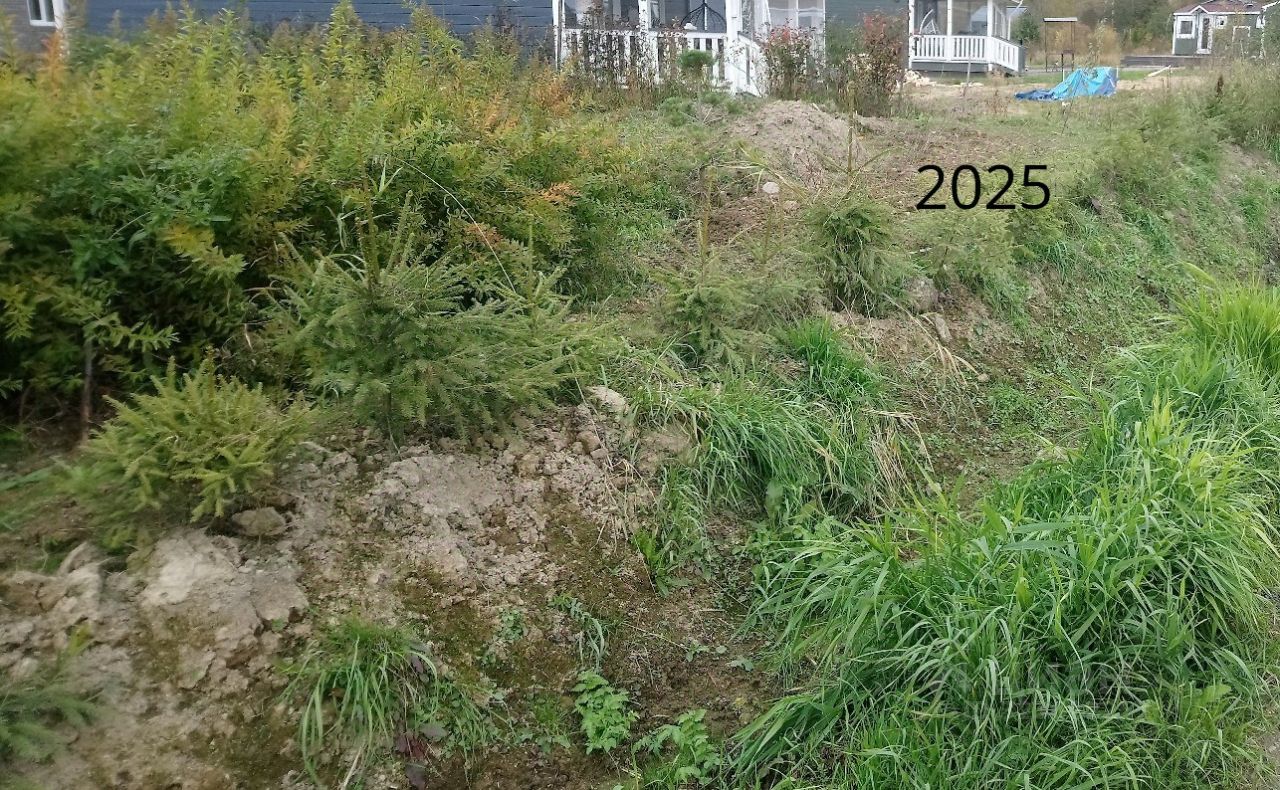 Продажа земли Никольское кп, 109