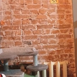 Аренда 1-комн квартиры на вторичном рынке Коломенская улица, 33/40 Аренда 1-комн квартиры на вторичном рынке Коломенская улица, 33/40