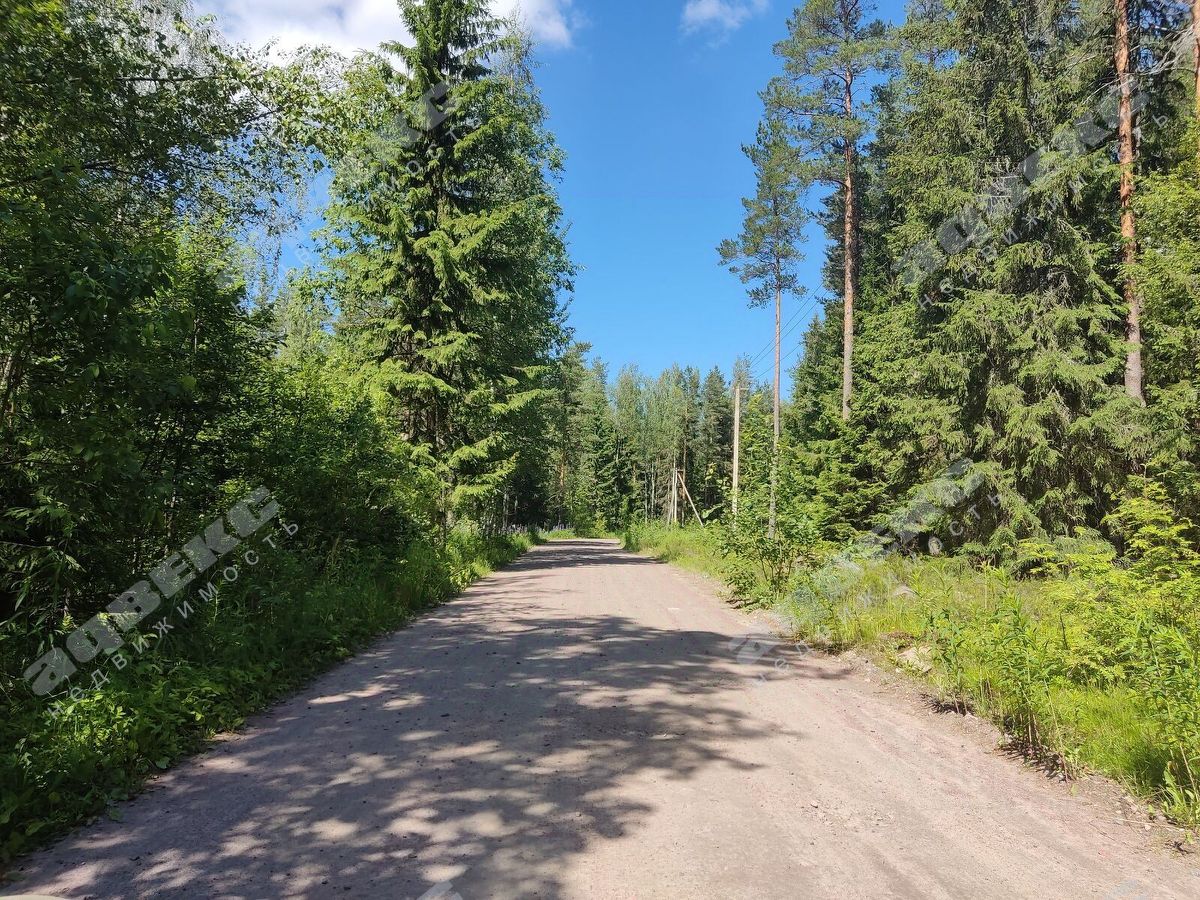 Продажа земли Сампо СНТ,  д. 376