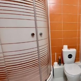 Аренда студии пос. Парголово, проезд Толубеевский, 8к2