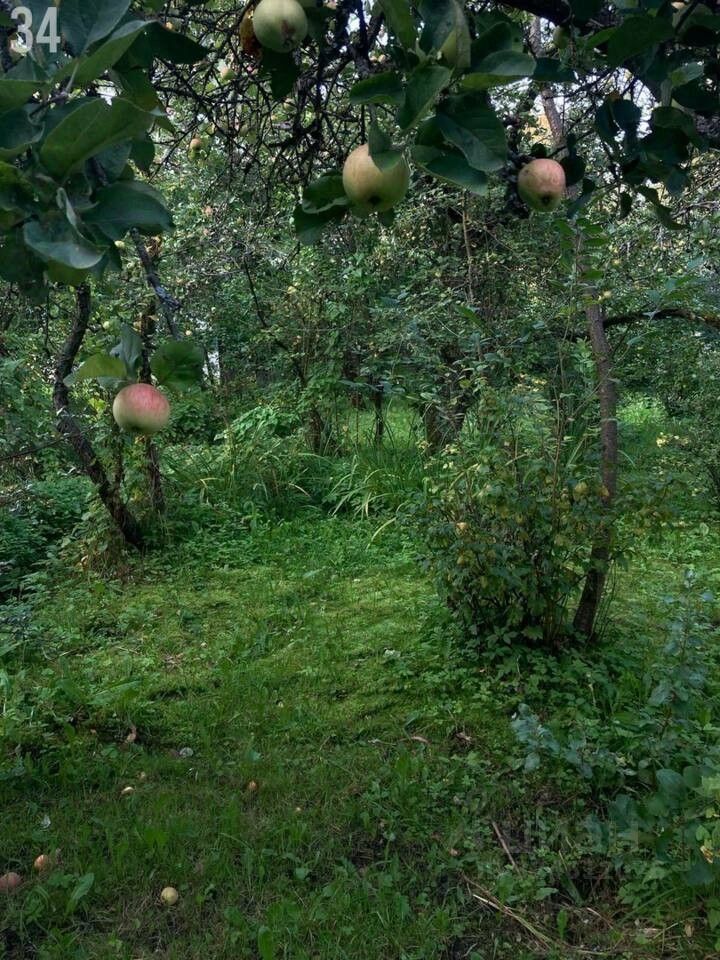 Продажа земли Павловск, Звериницкая улица