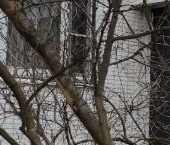 Сдать в аренду Квартиры вторичка Кленовый бульвар, 13К1   