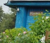 Продать Дачи, коттеджи, загородные дома Березовая Роща садоводческий массив, Прибой СНТ  39 