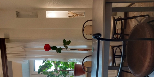 1-комн квартира Новосмоленская наб,  д. 6,  к. 1