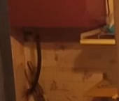 Продать Квартиры вторичка пос. Жилино, 1   