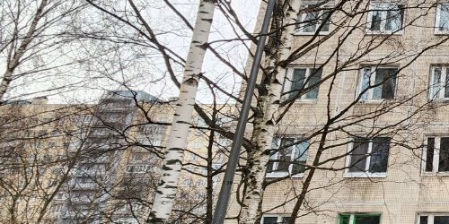 Комната проспект Ударников, 24