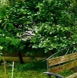 Продажа 3-комн квартиры на вторичном рынке Кировск, Ладожская улица, 20