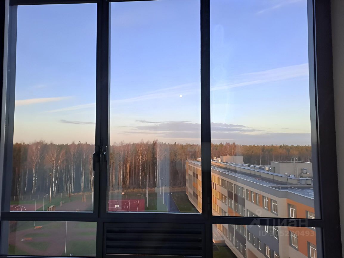 Аренда 1-комн квартиры на вторичном рынке пос. Янино-1, улица Ясная, 20к2