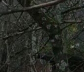 Продать Дачи, коттеджи, загородные дома д. Городец, улица Кукуевская, 7   