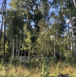 Продажа земли Мытищи г., Продажа земли Мытищи г.,