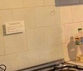 Сдать в аренду Квартиры вторичка Мирской переулок, 5   