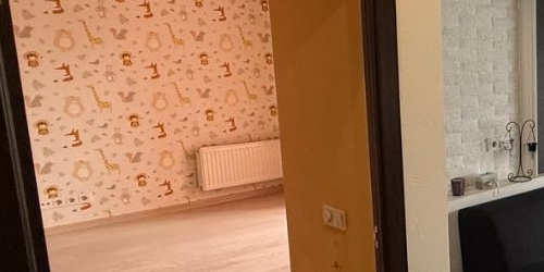 2-комн квартира Новоколомяжский проспект, 21