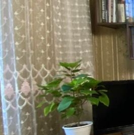 Продажа 3-комн квартиры на вторичном рынке Измайловский бульвар, 60/10