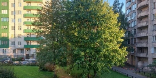 3-комн квартира ул Замшина,  д. 31,  к. 3