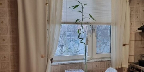 1-комн квартира ул Снежная,  д. 27,  к. 2 стр 2