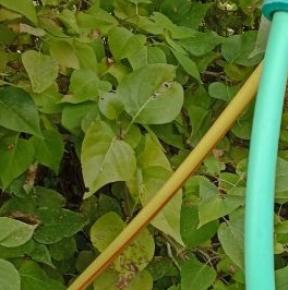 Продажа земли Дружба садовое товарищество, 452