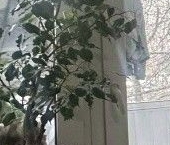 Продать Квартиры вторичка Перовская улица, 4К1   