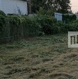 Продажа земли Новая Ладога, Нептун СНТ, улица Центральная, 308 Продажа земли Новая Ладога, Нептун СНТ, улица Центральная, 308