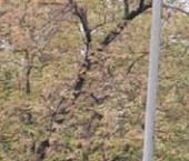 Продать Квартиры вторичка Большая Черкизовская улица, 22К4   