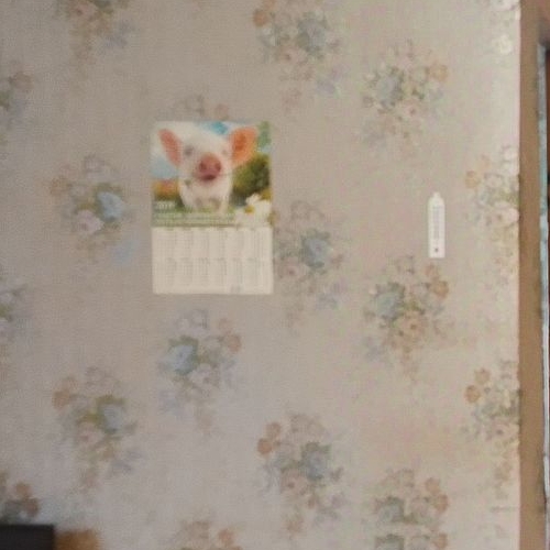 1-комн квартира пос. Сосново, улица Никитина, 16