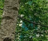 Продать Квартиры вторичка улица Вавиловых, 11К3   