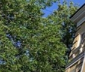 Продать Квартиры вторичка Хавская улица, 18   