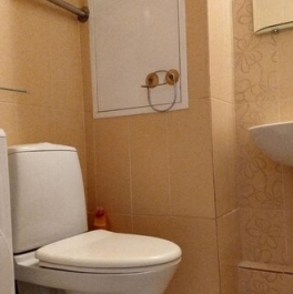 Аренда 1-комн квартиры на вторичном рынке улица Косыгина,  д. 13