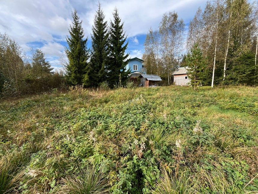 Продажа земли Виктория СНТ