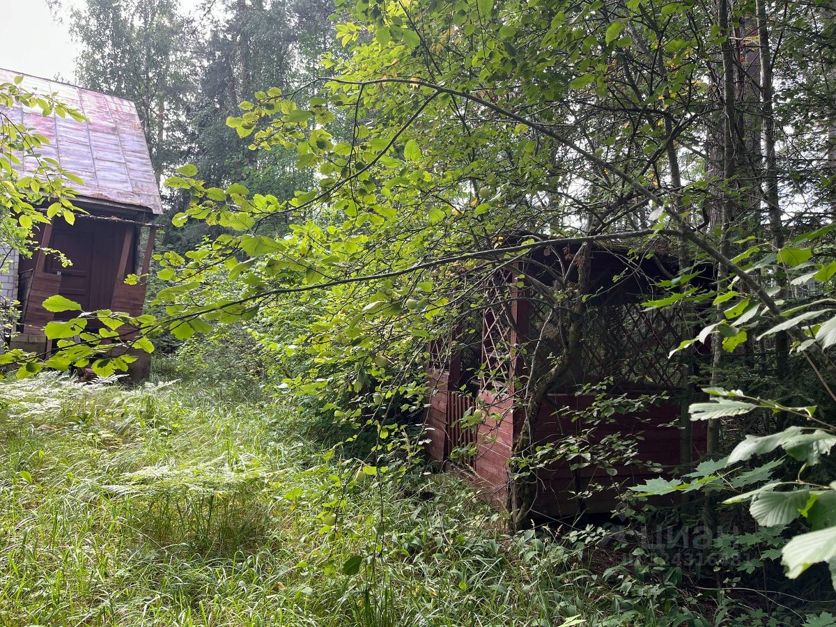 Продажа земли Орехово-Южный дачный потребительский кооператив, улица Дачная