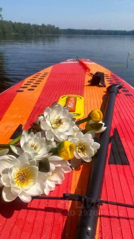 Продажа дома д. Шепелево, улица Озерная