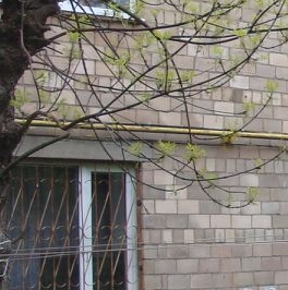 Продажа 2-комн квартиры на вторичном рынке Электросталь, Пионерская улица, 25