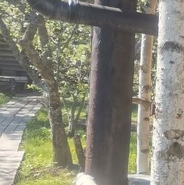 Продажа дома с. Паша, улица Вокзальная, 20