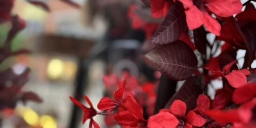 1-комн квартира Анадырский проезд,  д. 45/2