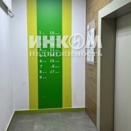 Продажа 1-комн квартиры на вторичном рынке Мисайлово д, Пригород Лесное мкр