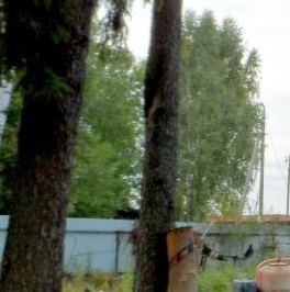 Продажа земли пос. Ленинское, улица Советская, 88 Продажа земли пос. Ленинское, улица Советская, 88