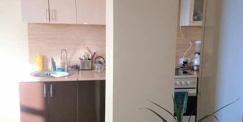 2-комн квартира Пушкин г, Архитектора Данини ул ,  д. 5