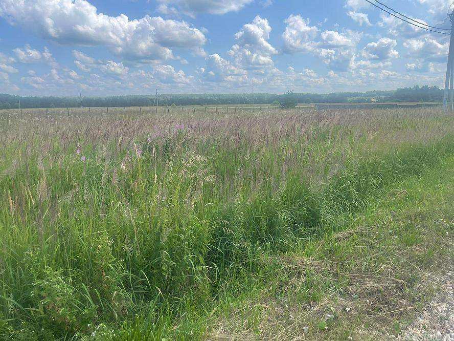 Продажа земли деревня Рысиха