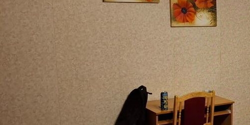 2-комн квартира улица Академика Константинова, 10К1