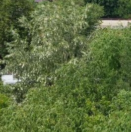 Продажа 2-комн квартиры на вторичном рынке Сходня мкр, Вишневая улица, 12