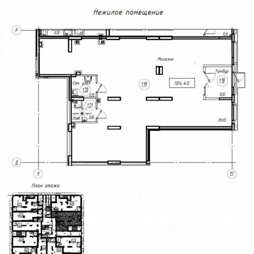 Помещение свободного назначения Шушары п,  д. 12