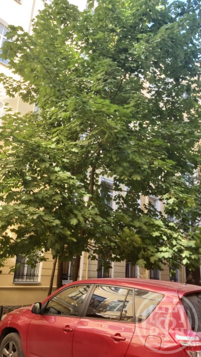 Продажа 4-комн квартиры на вторичном рынке Спасский пер.,  д. 6-8